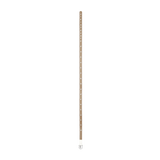 デイジーアイレットベルト (2 colors)