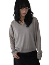 Rian V-Neck Basic Knit