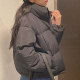 Nut Crop Basic Padding