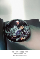 Fishbowl Dome Paperweight