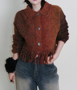 Gamants coloring gradation fringe long-sleeve cropped wool knitwear
