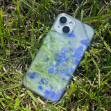 Delphinium shower