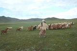 ストッパーコットンフィールドジャケット (2color)