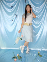 blue stripe skirt