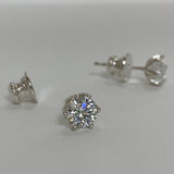 トゥイアピアス