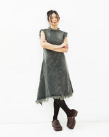 Ruffled Line Up Denim Dress