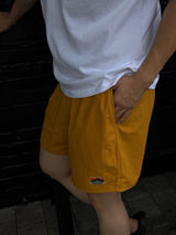 Core aqua shorts