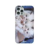 [three kitty sisters hard case]
