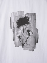 Rose Square Printing Short Sleeve T 2C
