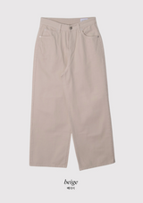 TD Basic Wide Cotton Pants (3color)