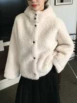 Foaming High Neck Poggle Fur Hooded Jacket (3c)