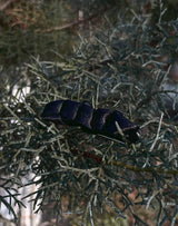 Growvine Pin (Black)