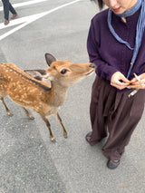 ベルト コットン パンツ