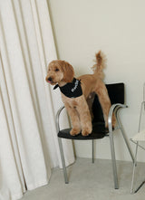 Naming Ribbon bandana (Black)