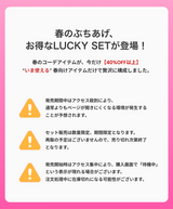2026 ラッキーセット (Kleesier)