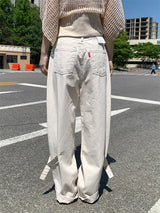 レッグビジョコットンワイドパンツ (2C)