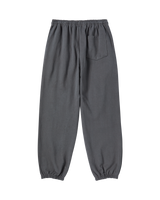 25FW AC BEAR STATUE OF LIBERTY ZURRY PANTS CHARCOAL