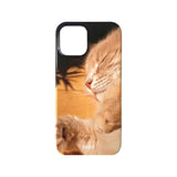 [afternoon nap with my kitty hard case]
