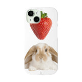 [MADE] bunny hard case