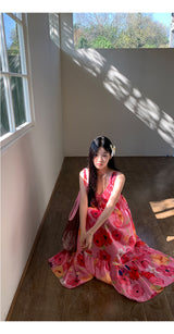 Bliju Vネックフリルロングドレス