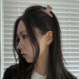 Modern hair clip (5color)