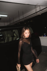 Sheer Sexy Bodysuit (with bra top)