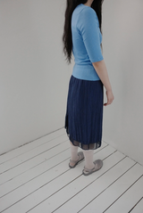 カラ―セクションT (5c)