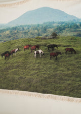 JEJU mountain horse tassel blanket