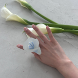 Loumoi tok _ New calla 