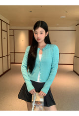 Burton mini pleats pants skirt