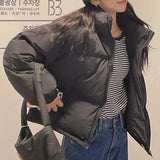 Nut Crop Basic Padding