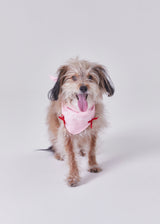 Naming merry ribbon bandana (Pink)