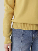 Classic Color Matching Collar Knit