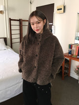 Foaming High Neck Poggle Fur Hooded Jacket (3c)