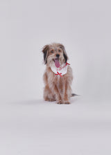Naming merry ribbon bandana (White)