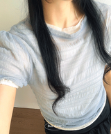 パフウィンクルシースルーショートスリーブTシャツ 4C