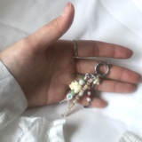シェイドシーキングディサートエレファント