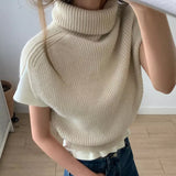 turtle vest - vt