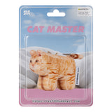 Cheese, Domestic Shorthair