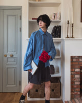 Crystal Overfit Crop Shirt