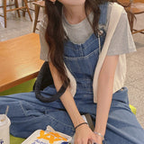 Central Denim Overalls