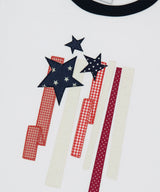 FLAG APPLIQUE RINGER CROP TEE