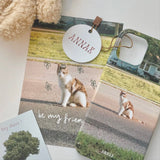 [a stray little cat ver.3 hard case]