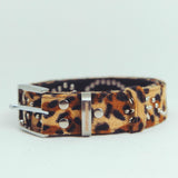 nsn leopard studs belt -brown-