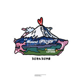 富士山グラフィックTシャツ (Gray)