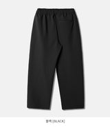 26SS★ クリーンワンタックバンディングワイドスラックス
