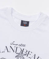 Island Bear T-shirts