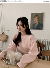 Pastel Crop Round Loose Knit (6color)