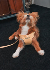 Holiday in paris X type harness (Yellow)
