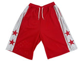 star mesh basketball pants